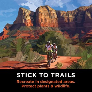 Responsible recreation preserves the outdoor spaces we love. Learn more about Arizona’s Seven Principles of Leave No Trace. | Visit Arizona