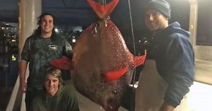Second rare opah fish caught by same fishing crew in Ocean City