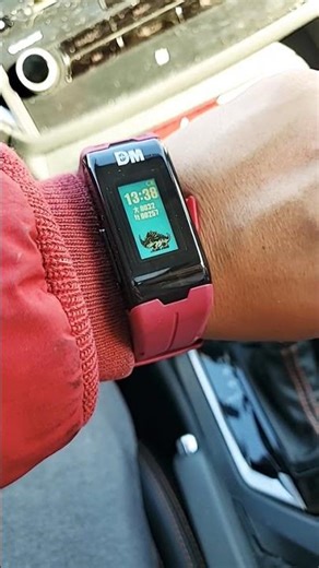 Better than a Fitbit #digimon