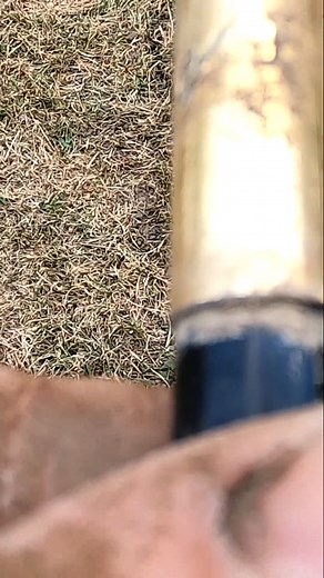Metal Detecting Gold Fountain Pen 1800 Silver Coins Relics Farm Western NY #metaldetecting #shorts | Metal Detecting NY