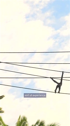 Perth Zoo is set to open its latest animal enclosure, featuring a new, immersive habitat for its white-cheeked gibbons. The enclosure is designed to give visitors a unique experience, where the animals move freely around designated pathways as guests wander through the zoo. The innovative layout is inspired by world-class zoos such as Singapore Zoo. Environment Minister Matthew Swinbourn attended the opening of the exhibit today, saying, “Perth Zoo holds a special place in the hearts of Western