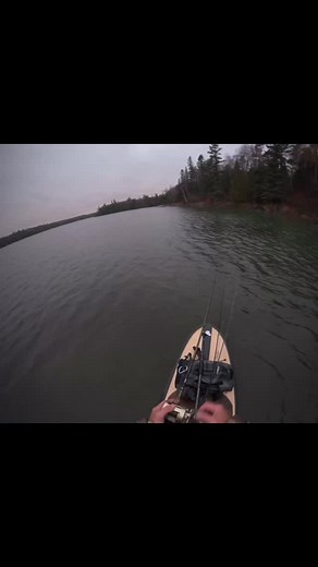 Fishing this Fall I found a $3,000 Souris River Kevlar Canoe with 2 holes in it that I think are patchable. It weighs less than my paddleboard. It’s on an island right along the border, just hanging out for the winter. I included a clip of the last walleye I caught for the summer. #lakeofthewoods #fishing #fish #explorer #canoe | Tyler Hovda