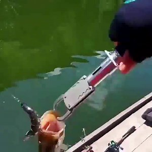 Watch Soft Bionic Fishing Lure 2-2 on Amazon Live