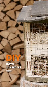 Un hôtel 5 étoiles dans votre jardin ? 🏡✨ Pour nos amis les abeilles et les coccinelles, ce ne serait pas de refus : favoriser la présence d’insectes dans nos jardins stimule la pollinisation et maintient l’équilibre écologique 🐞 Ça tombe à pic car il est facile de construire un abri VIP aux petites bêtes à partir d’un simple rondin de bois 🪵 On vous explique toutes les étapes de fabrication d’un hôtel à insectes juste ici : https://youtu.be/mkNoy0WBlsM?utm_source=Facebook&utm_medium=social&u