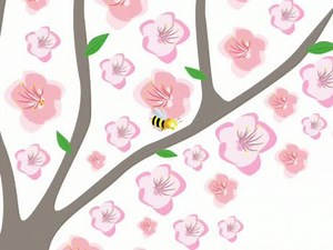 Le développement des végétaux, de la fleur au fruit, du fruit à la graine | Lumni Enseignement