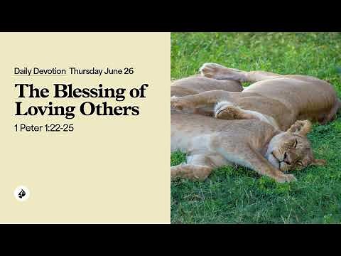 The Blessing of Loving Others – Daily Devotional