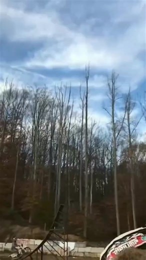 Epic Double Backflip 360 by Travis Pastrana