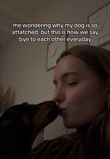 Why My Dog and I Share the Cutest Goodbyes