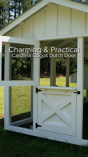 1.1K reactions · 57 shares | Carolina Coops Dutch Doors: Add charm and convenience to your coop! These handcrafted doors give you easy access - perfect for feeding or greeting your flock. Built with the same quality and durability you expect from Carolina Coops. Order now to upgrade your already built Carolina Coops or use to make your DIY coop build easier | Carolina Coops | Facebook