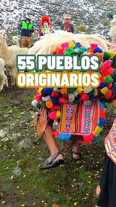 3.2K views · 83 reactions | ✨ El Perú alberga 55 pueblos originarios que con sus lenguas, costumbres y saberes  mantienen viva nuestra historia. Desde Asháninka y Shipibo-Konibo  hasta Quechua y Aymara ⛰️, su legado se celebra cada 9 de agosto . #OrgulloPeruano #PueblosOriginarios #DiversidadCultural #Peru #Cusco #VibrantPeru | Vibrant Peru | Facebook