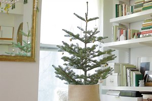 This “Naked” Christmas Tree Doesn’t Skimp on the Cozy Vibes