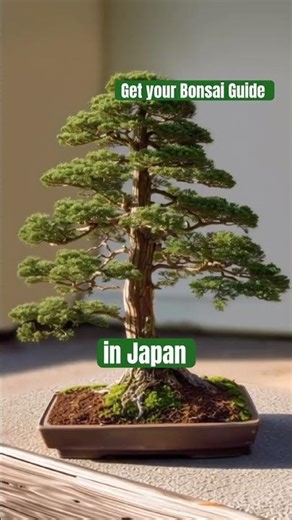 Discover the roots of bonsai culture from ancient China 2 modern artistry #bonsaiculture #bonsaibarn