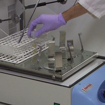 Video: Simple and Efficient Production and Purification of Mouse Myelin Oligodendrocyte Glycoprotein for Experimental Autoimmune Encephalomyelitis Studies