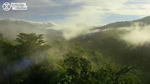 273K views · 715 reactions | #BiodiversityCollapse #SystemChange...