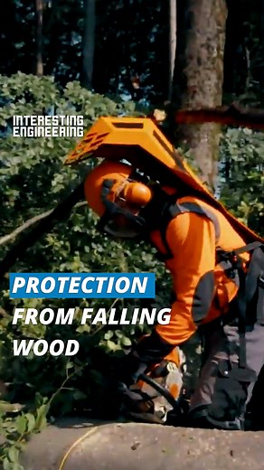 Harvesting hardwood without the risk of injuries. 🎥 BaSt-Ing GmbH | Interesting Engineering