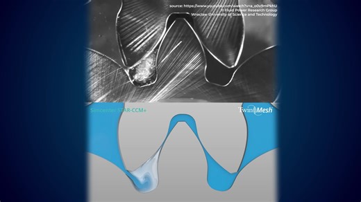 External Gear Pump Cavitation Experiment and CFD simulation with TwinMesh and S