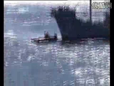 Green Peace fight against Japanese whaling fleet