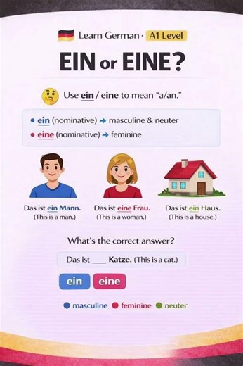 Ein or Eine? German Articles Explained | A1 Beginners #learngerman #germanarticles
