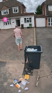 Trash cleanup turned playful encounter | Fabiosa Daily