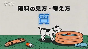 理科の見方・考え方「質的」 | NHK for School