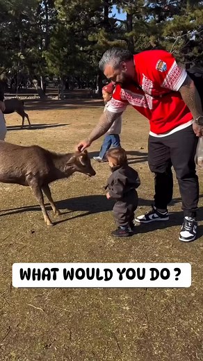 What would you do | M Clips