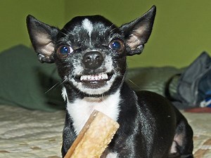 Behavior Problems | Positively.com