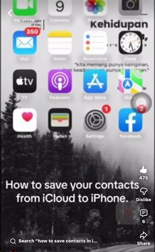 How to save your contacts from iCloud to iPhone.