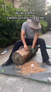 928K views · 1.7K reactions | Wood quality testing  | 9GAG TV | Facebook