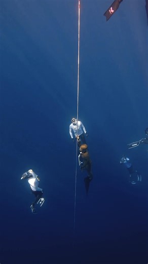 Our world-record-breaking wetsuit is now fully customisable to YOU. 🫵🏼 🎨Choose from 7 colours. ✂️ Dial in your design with one-piece, hoodless, or sleeveless cuts. 🐬Experience a glide-skin exterior for ultimate hydrodynamics. ✨Select your perfect thickness from 0.8 mm to 7 mm. There’s a reason this wetsuit has set multiple world records and seen podium finishes across countless competitions. Build yours. Feel the difference. | Molchanovs