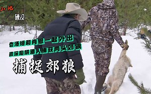 山地硬汉：资深陷阱猎人老汤姆和徒弟一起捕获了两头郊狼_哔哩哔哩_bilibili