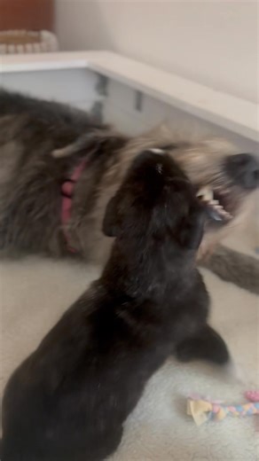 Allyson M Hicks on Reels