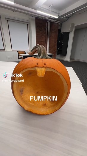 Creative Pumpkin Carving Ideas for Halloween