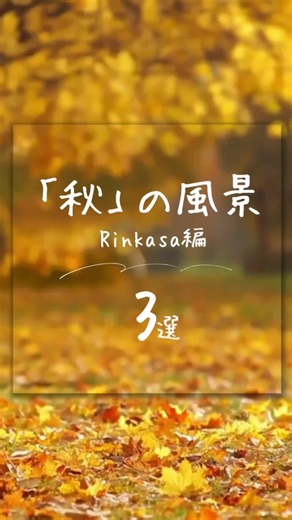 秋の醍醐味 詰め込んだ1日🍂 #林業笠原造園 #社内研修 #レクリエーション #卓球 #バーベキュー