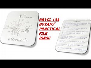 BBYCL 134 Botany Practical File ignou