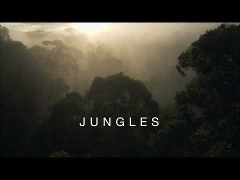 Planet Earth 08 Jungles Part 01