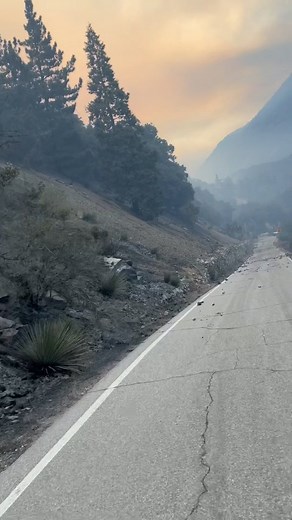 Bridge Fire Update: Fundraiser this Saturday @lastnamebrews with music by D'Santi get tickets on our website! #california #mtbaldy #socal #bridgefire #wildfire #forest | Mt Baldy Resort