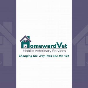 “Dr. Sidley was so kind my cat stayed calm the whole time!” ⭐️⭐️⭐️⭐️⭐️ Home visits mean less stress, more comfort, and personalized care from a vet who truly cares. Schedule your visit with Dr. Ann Sidley, DVM your trusted mobile vet for North Boston | HomewardVet NorthBoston | Facebook