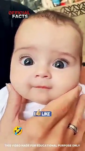 You Won't Believe These THREE Useless Gadgets!