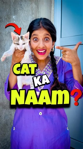 New cat ka naam rakh diya 🐱😱 | Mini Vlog #shorts #minivlog #ashortaday #vlog #trending #cats #cat