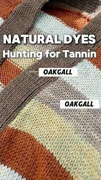 Use Oakgalls for Tannin! (Mordanting and Dyeing) #naturalcolor #naturaldye