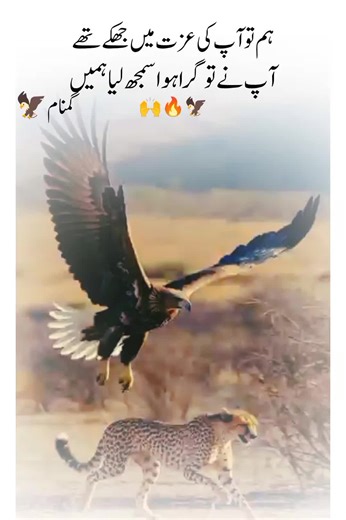 @⚜️ گمنام 🐺 #unfreezemyaccount