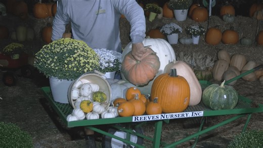Fall at Reeves Nursery is in Full Swing
