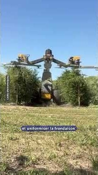 Taille en action !