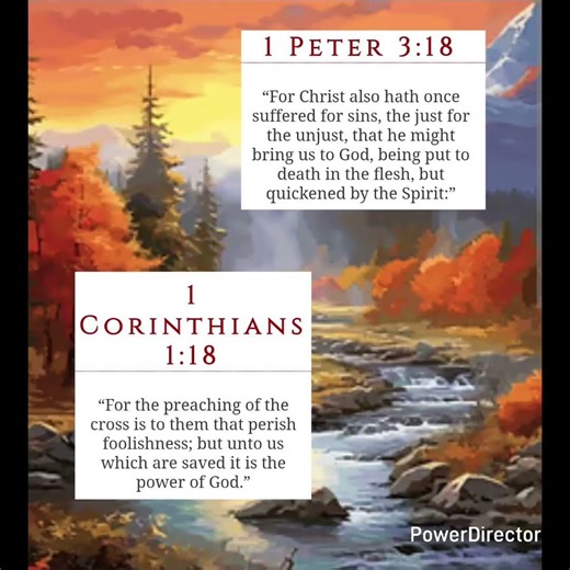 Bible numerics are amazing. "Cross" appears 7x in the Bible, and "Quickened" 28x. 7 = completion..