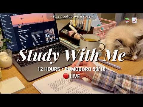 Challenge | 12 HR STUDY WITH ME • Pomodoro 50/10 | Relaxing Fireplace Sound