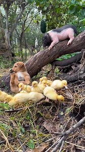 Omg so absolutely cute 😍🥰😘 | Little Moments