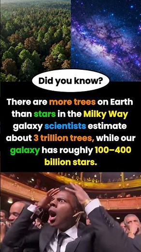 The SHOCKING Truth About Trees and Stars in Our Universe