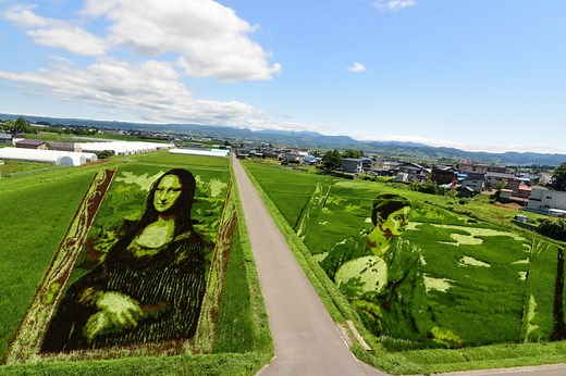 2025 田舎館村田んぼアート｜スポット・体験｜【公式】青森県観光情報サイト Amazing AOMORI