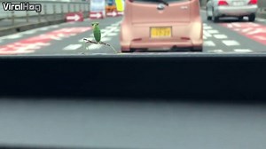 Happy hour vibes | ViralHog