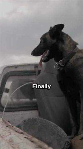 Dad Shot My Dog at Age 7 - How This Trauma Created an Unbreakable Marine | Tom Jones Podcast
